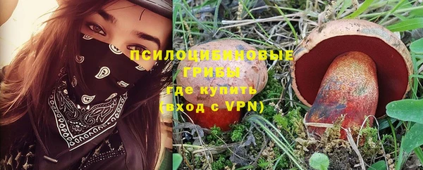 ECSTASY Покачи
