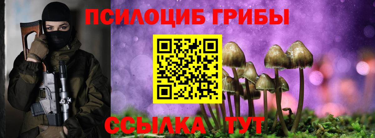 Сердобск  Псилоцибиновые грибы Magic Shrooms  Галлюциногенные грибы Psilocybe  Вход с VPN 